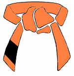 Orange Belt