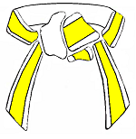 WhiteYellow  Belt