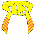 Yellow Belt