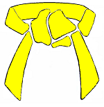 Yellow Belt