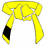 Yellow Belt